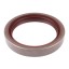 65x85x13 B1SLSFRD | 12012095B [Corteco] Oil seal