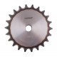 Plain bore roller chain sprocket 10B-1 - pitch 15.875mm, 22 Teath [Dunlop]