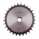 Plain bore roller chain sprocket 06B-1 - pitch 9.525mm, 29 Teath [Dunlop]