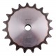 Plain bore roller chain sprocket 20B-1 - pitch 31.75mm, 19 Teath [Dunlop]