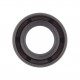 Oil seal 12,5х22,1х7 HSGW [WLK]