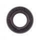 Oil seal 12,5х22,1х7 HSGW [WLK]