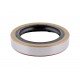 Oil seal 45х64х12 HTA2 [WLK]