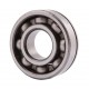 6204ZNR Deep groove ball bearing
