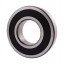 6317 2RS C3 [ZKL] Deep groove sealed ball bearing