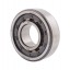 NU204 [ZVL] Cylindrical roller bearing