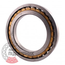 7002140 Cylindrical roller bearing