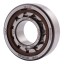 NU204 ECP [SKF] Cylindrical roller bearing