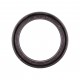 Oil seal 45х59х8 VCKFY [WLK]