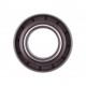 Oil seal 25х47х10/14,8 QLN [WLK]