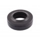 Oil seal 25х47х10/14,8 QLN [WLK]