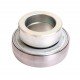 RAE40-NPP-B [INA Schaeffler] Radial insert ball bearing