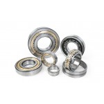Classification and characterization of bearings