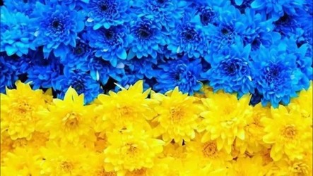 Ukrainian Constitution Day - We are open!